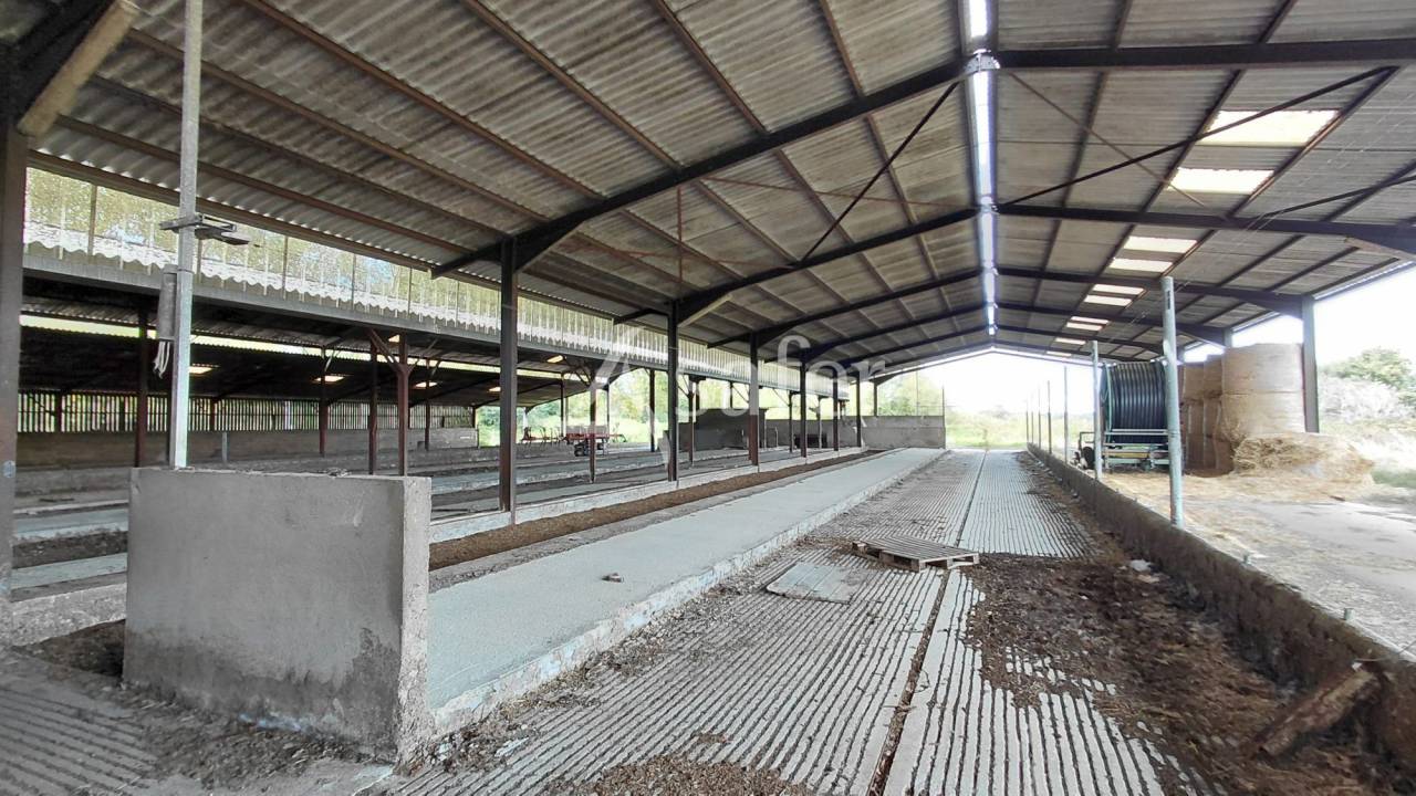 Sheep farm  Vienne