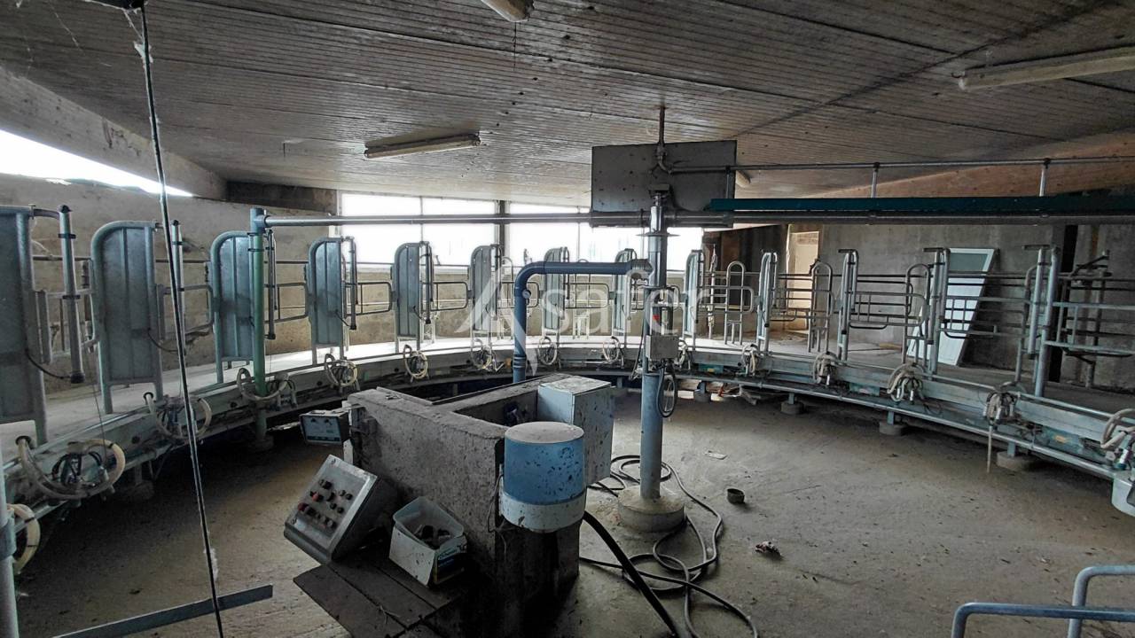 Sheep farm  Vienne