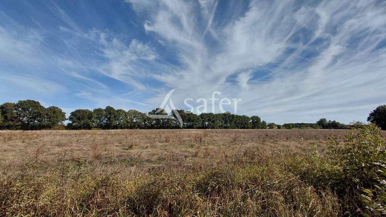 Other agricultural property  Vienne