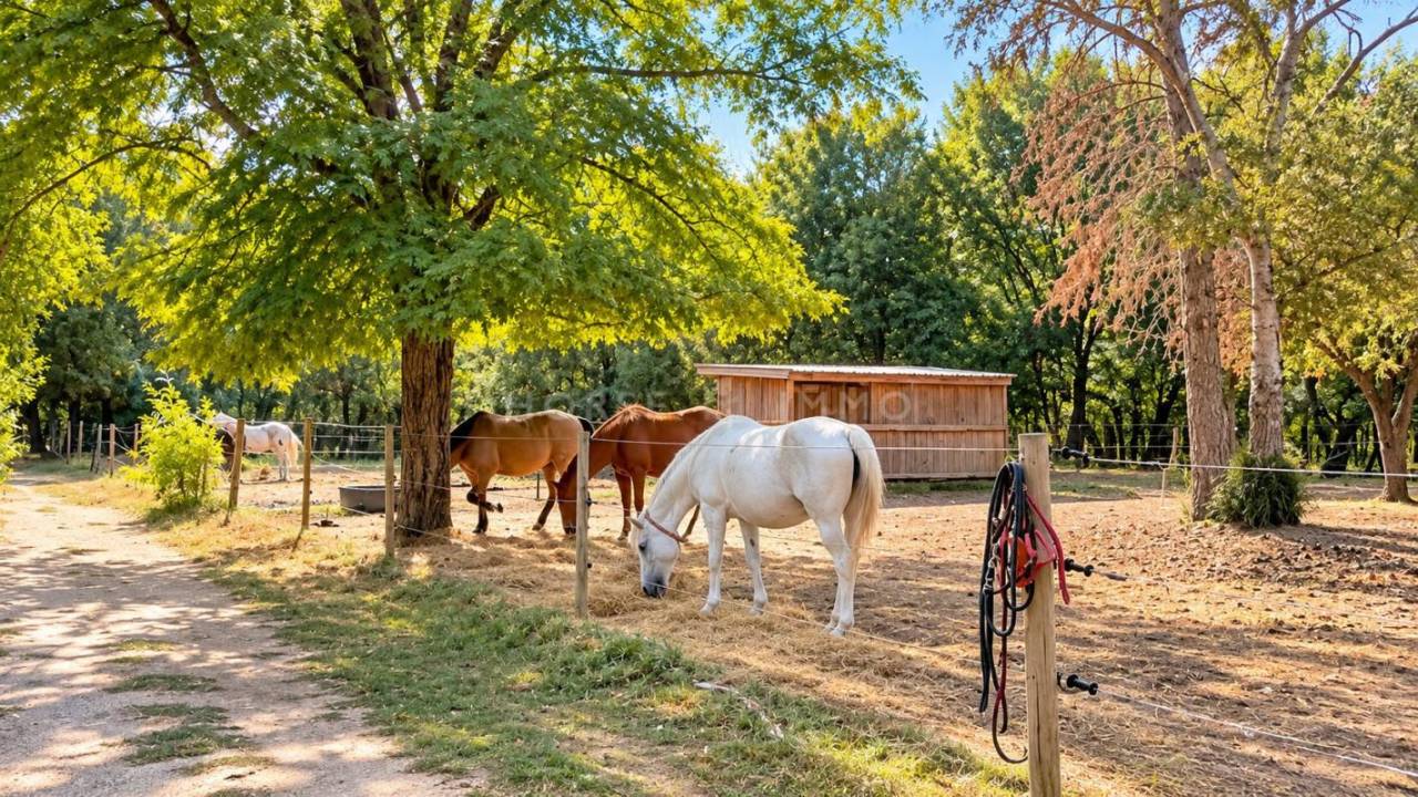 Equestrian property  Vaucluse