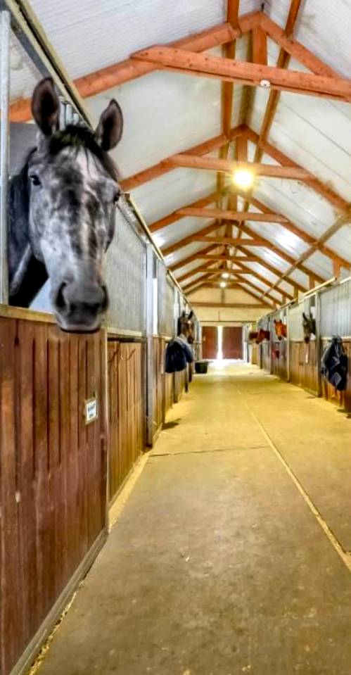 Racing yard  Oise