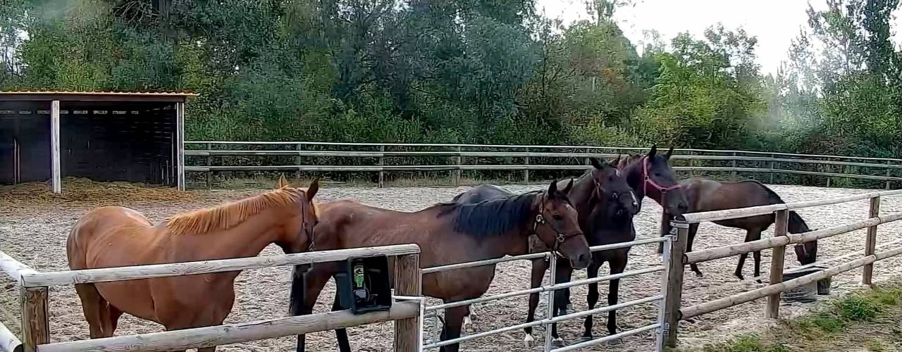 Racing yard  Oise