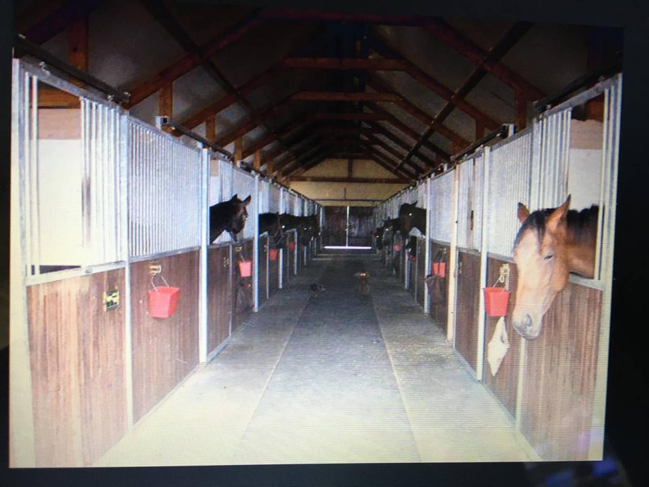 Racing yard  Oise
