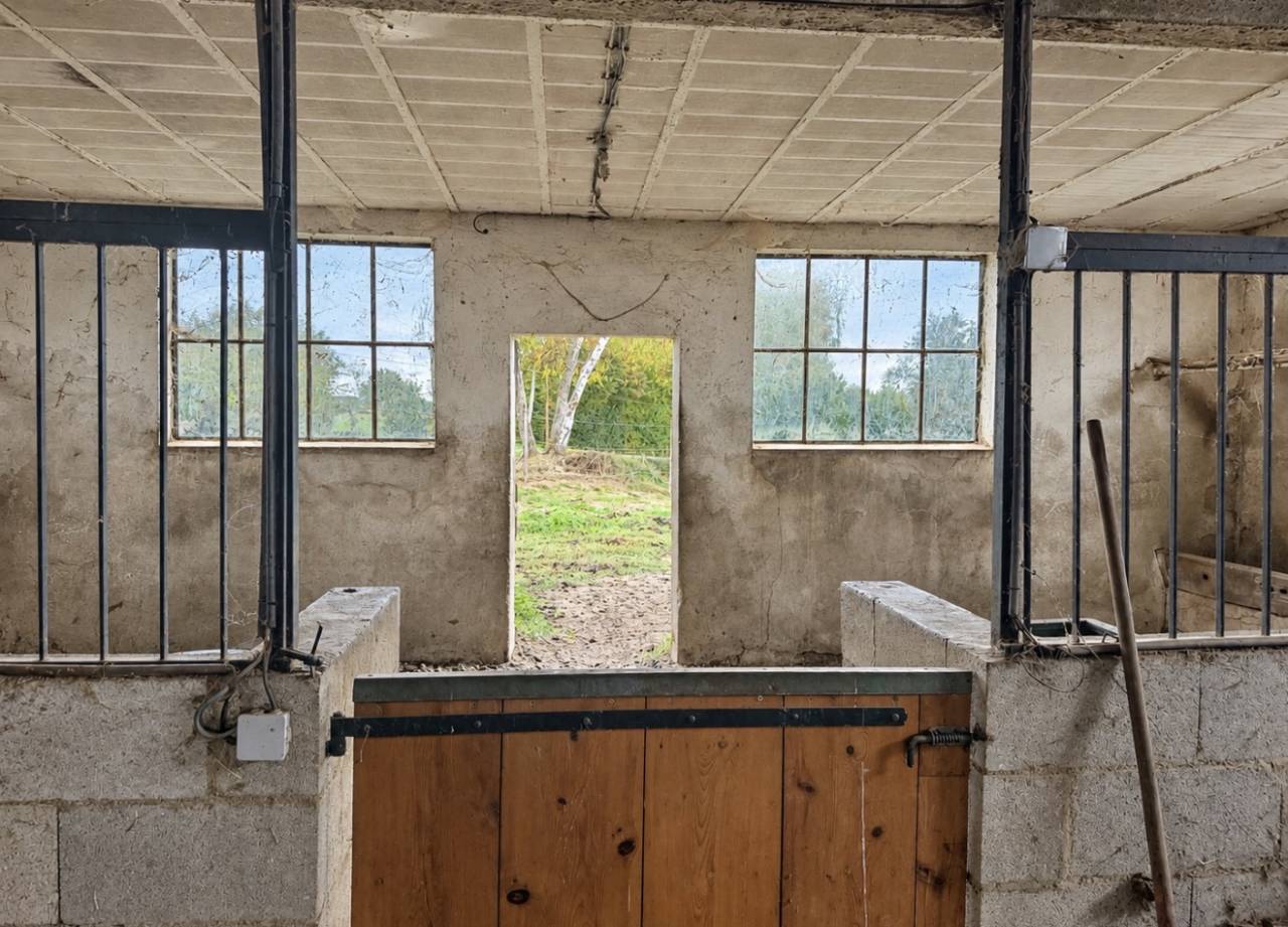 Equestrian property  Ain