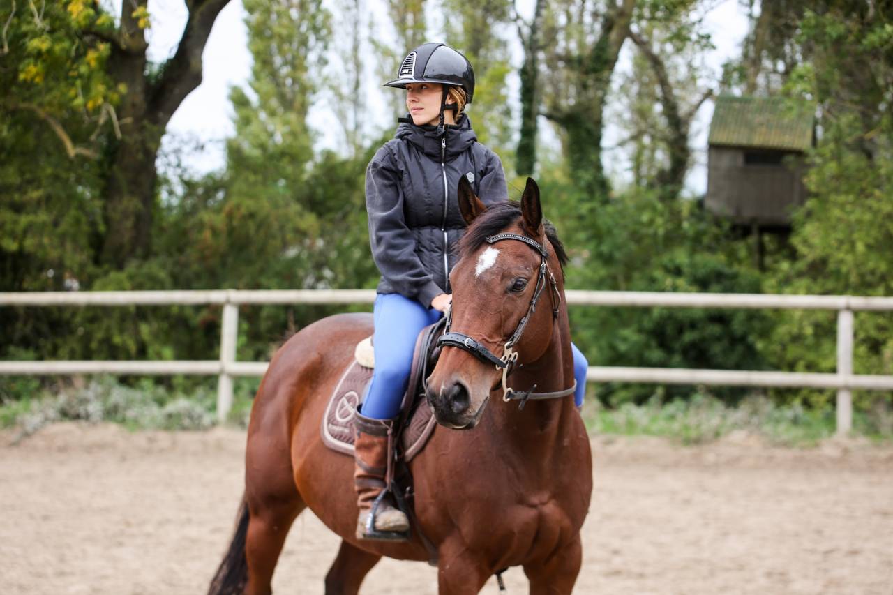 Mare Thoroughbred For sale 2020 Bay