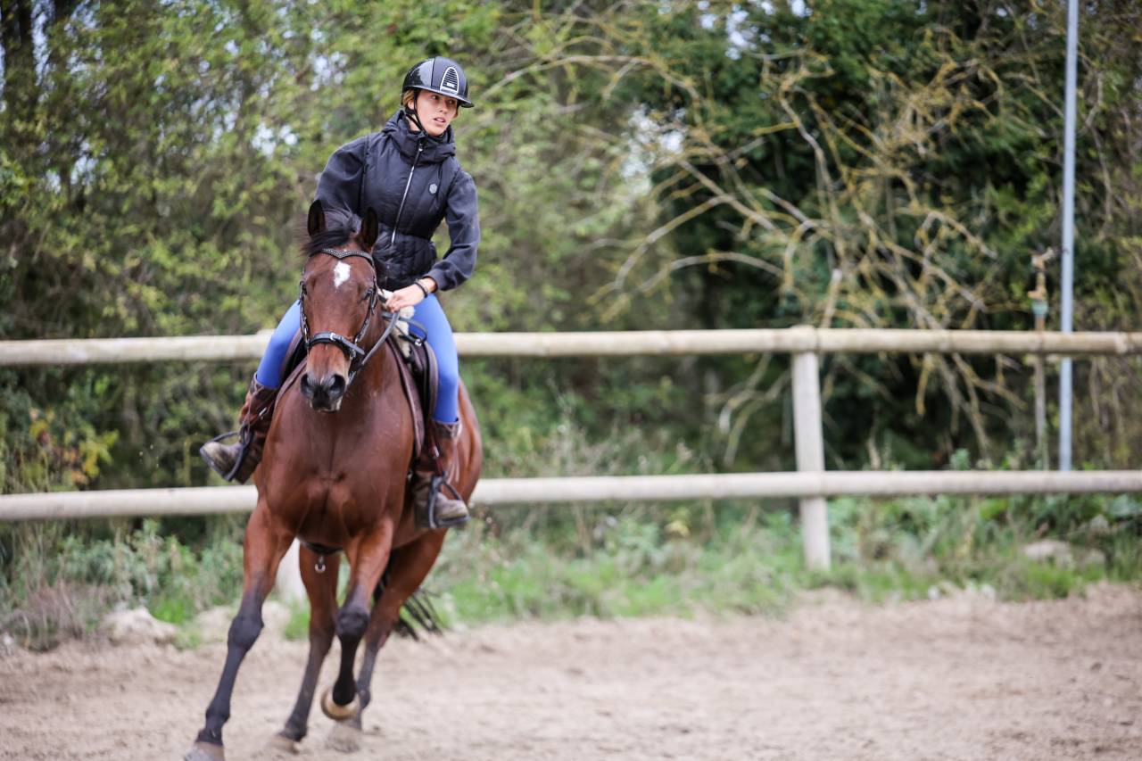 Mare Thoroughbred For sale 2020 Bay
