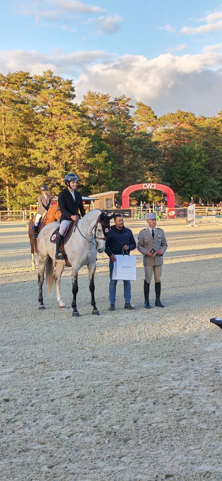 Gelding Selle Fran&ccedil;ais For sale 2018 Grey