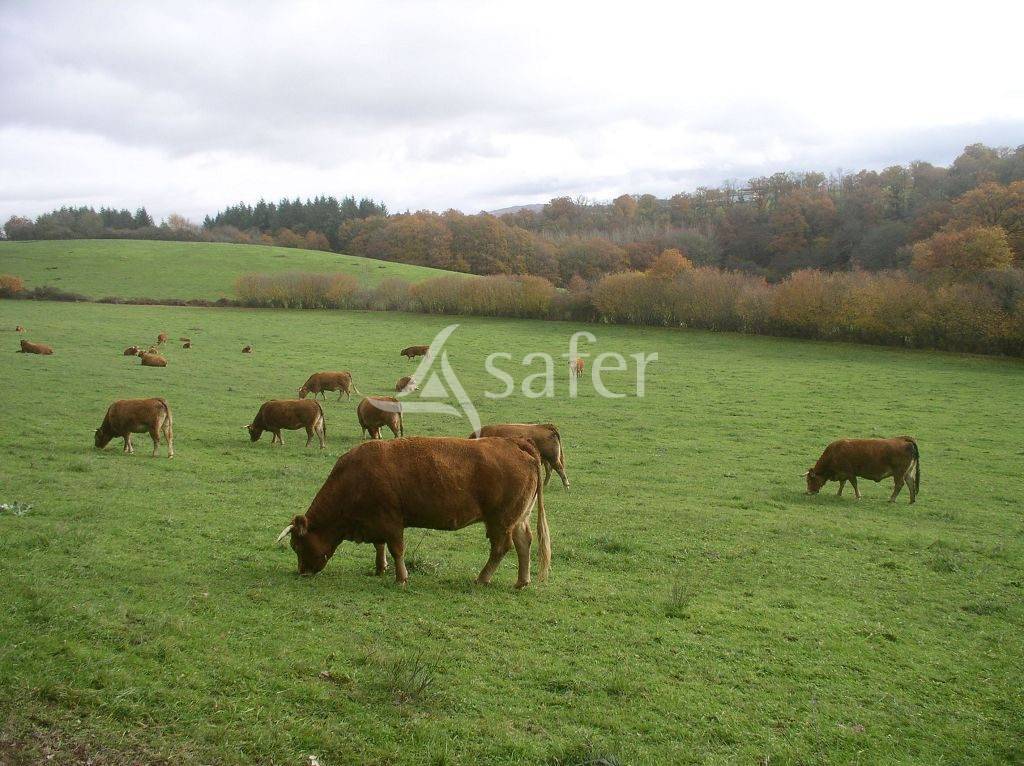 Other agricultural property  Creuse