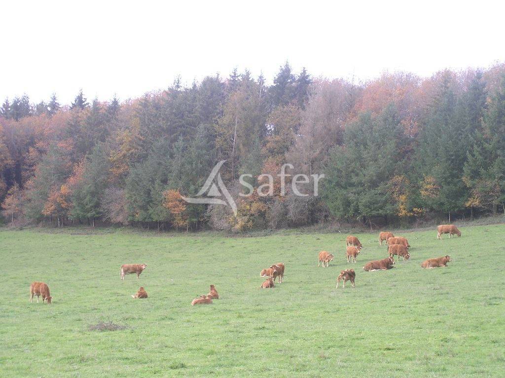 Other agricultural property  Creuse