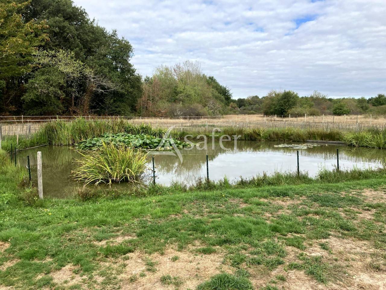 Other agricultural property  Loiret