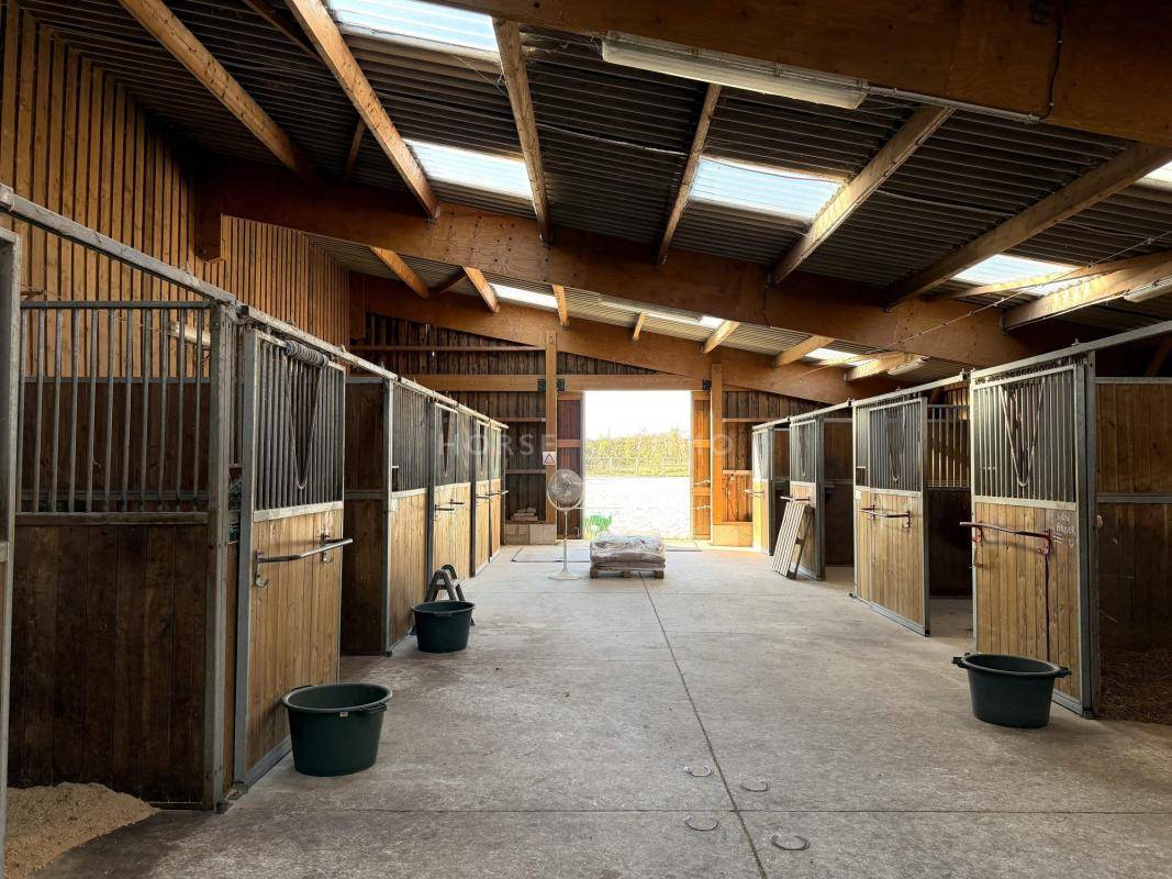 Equestrian property  Yvelines