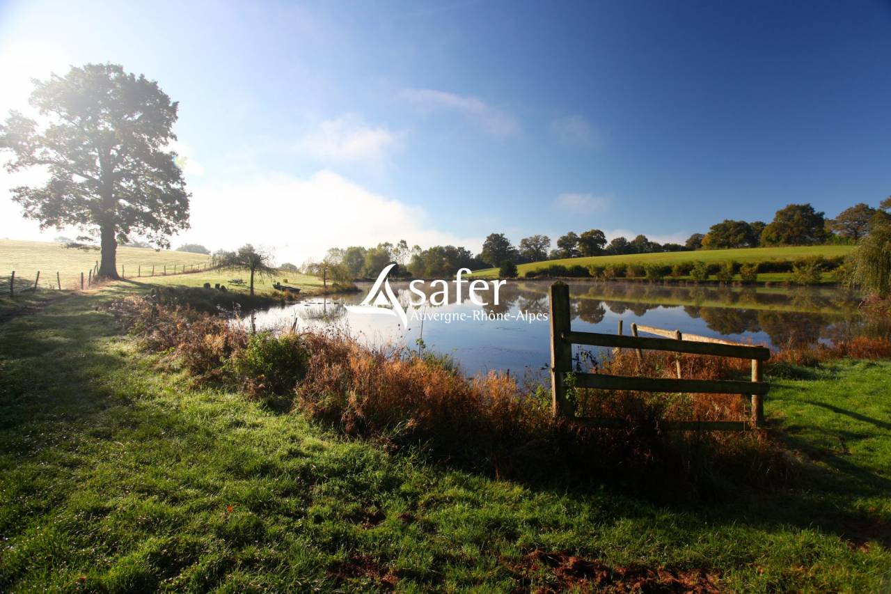 Other country property  Allier