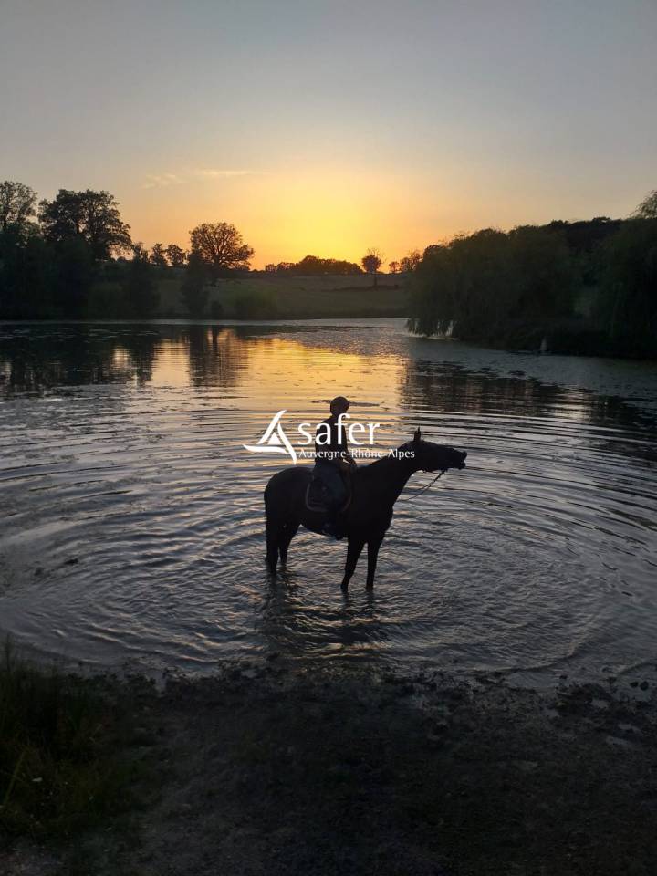 Other country property  Allier