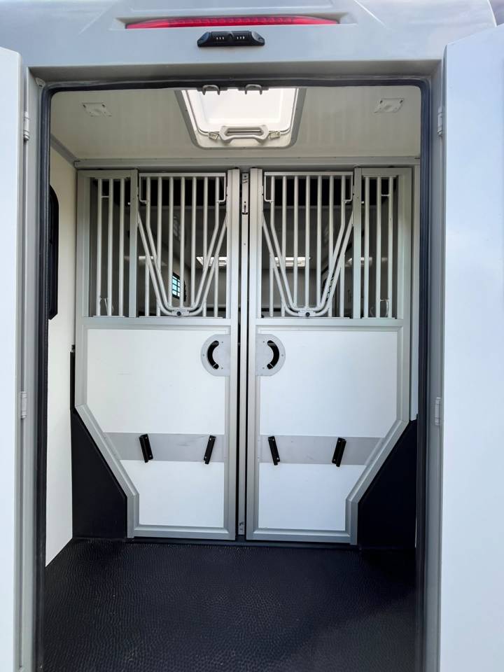 Horsebox HGV Theault   Renault Master  - THEAULT Proton 5L 2023 Used