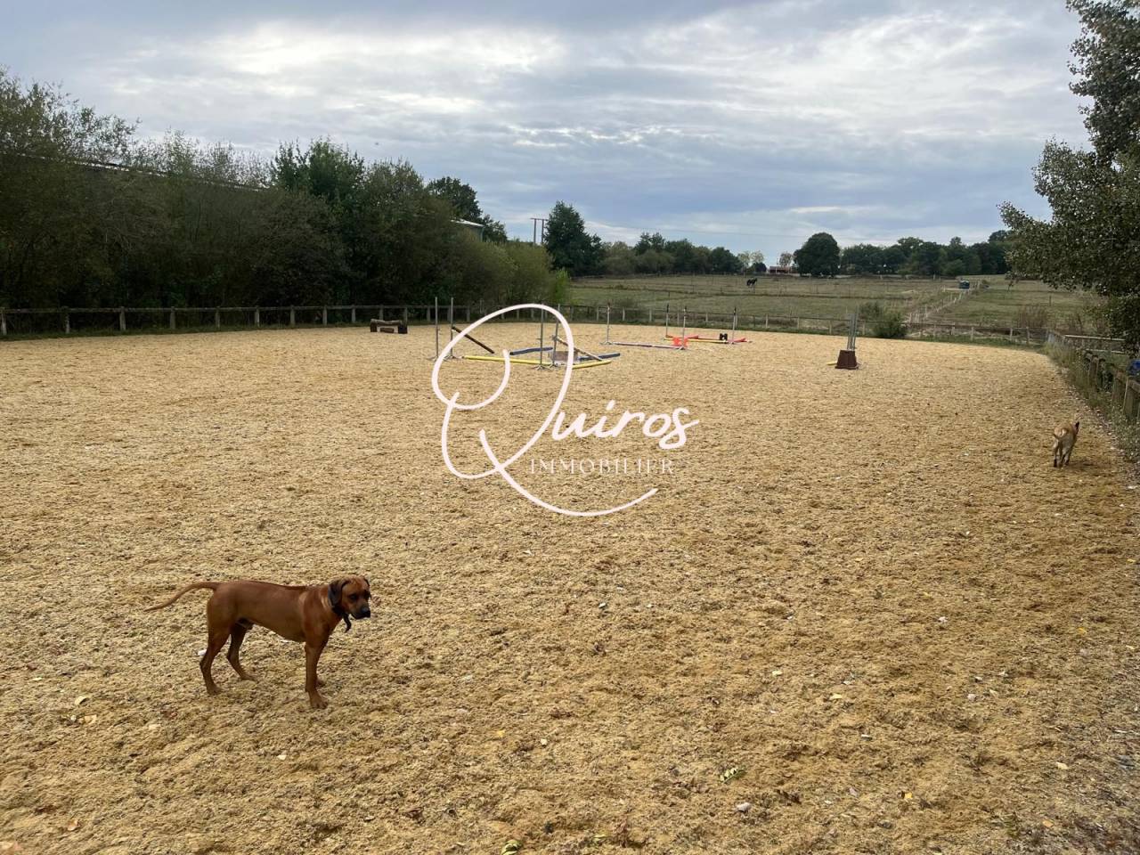 Equestrian property  Haute-Garonne