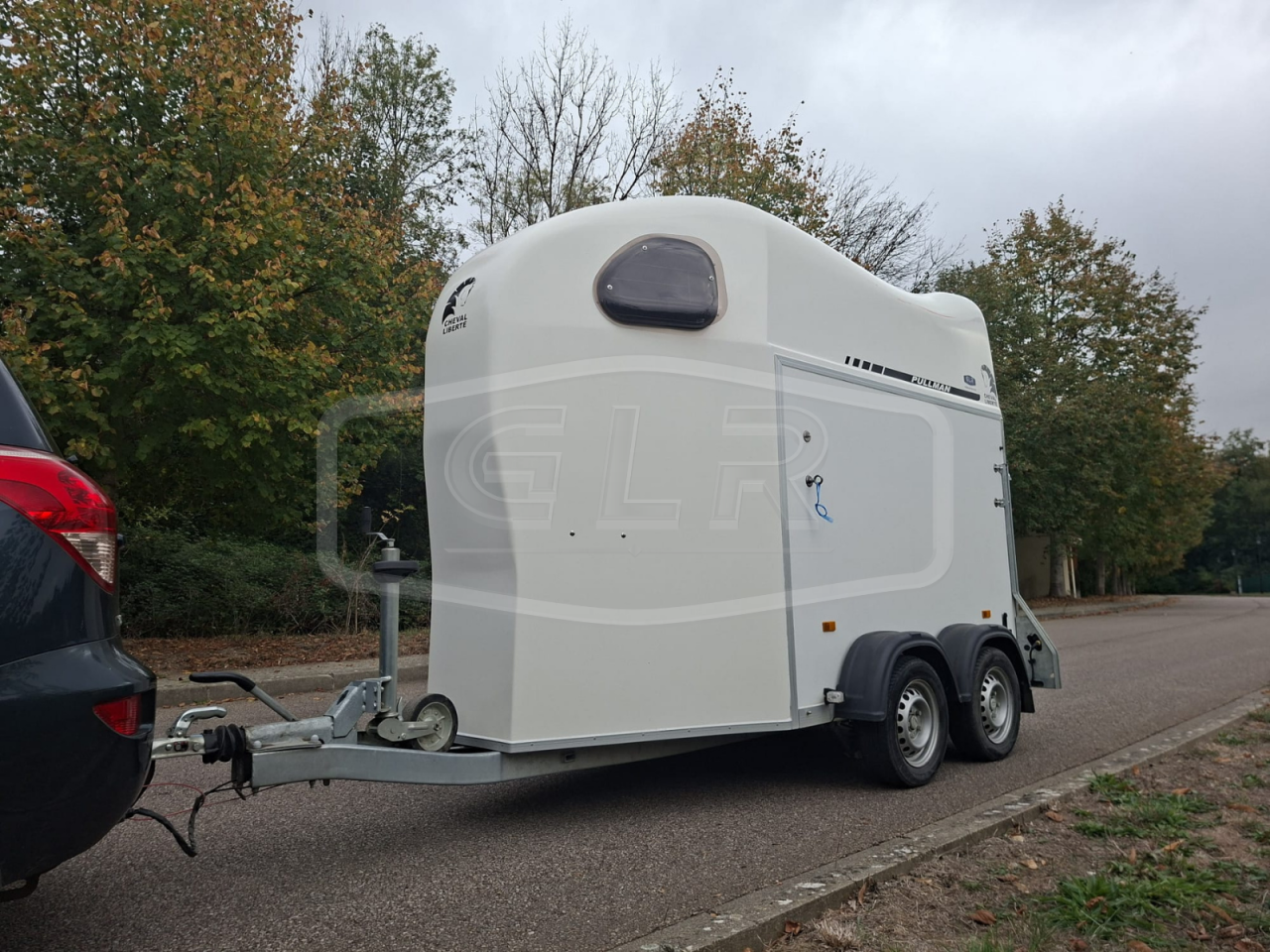 Horse trailer Cheval Liberte Gold One White Line 1,5 Stalls 2020 Used