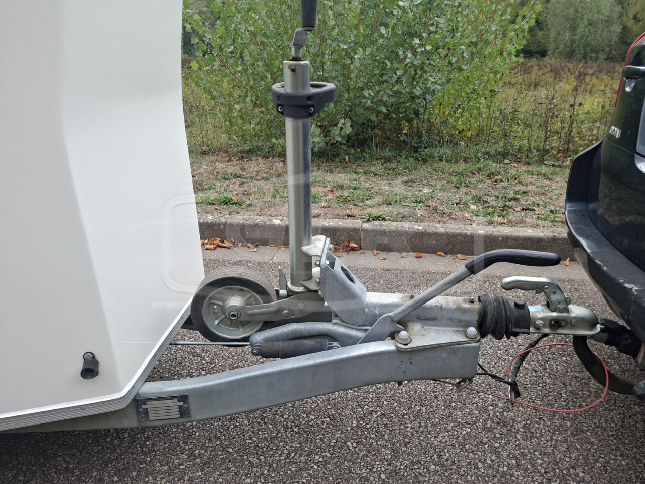 Horse trailer Cheval Liberte Gold One White Line 1,5 Stalls 2020 Used