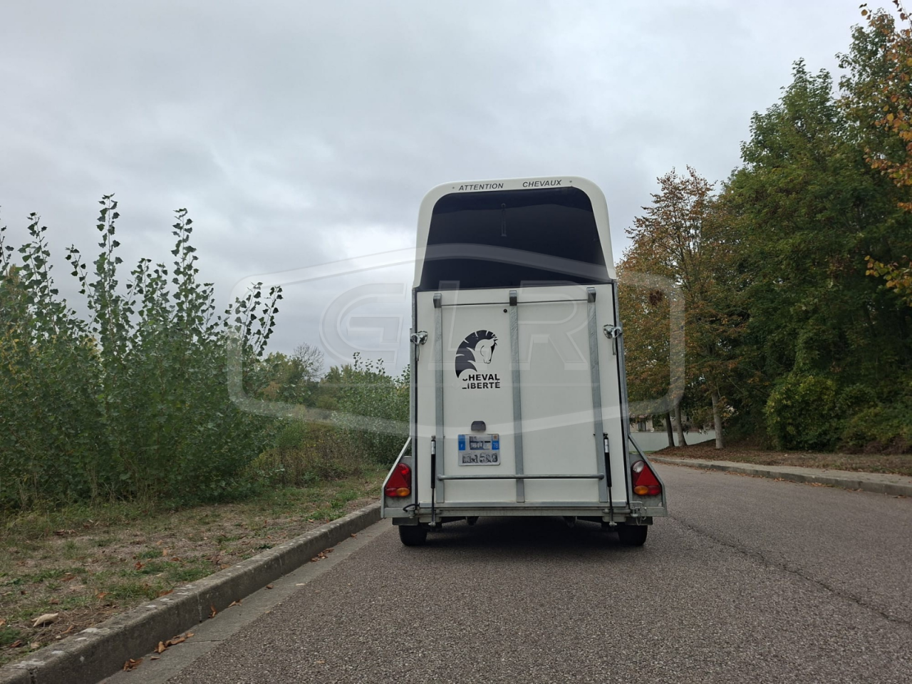 Horse trailer Cheval Liberte Gold One White Line 1,5 Stalls 2020 Used