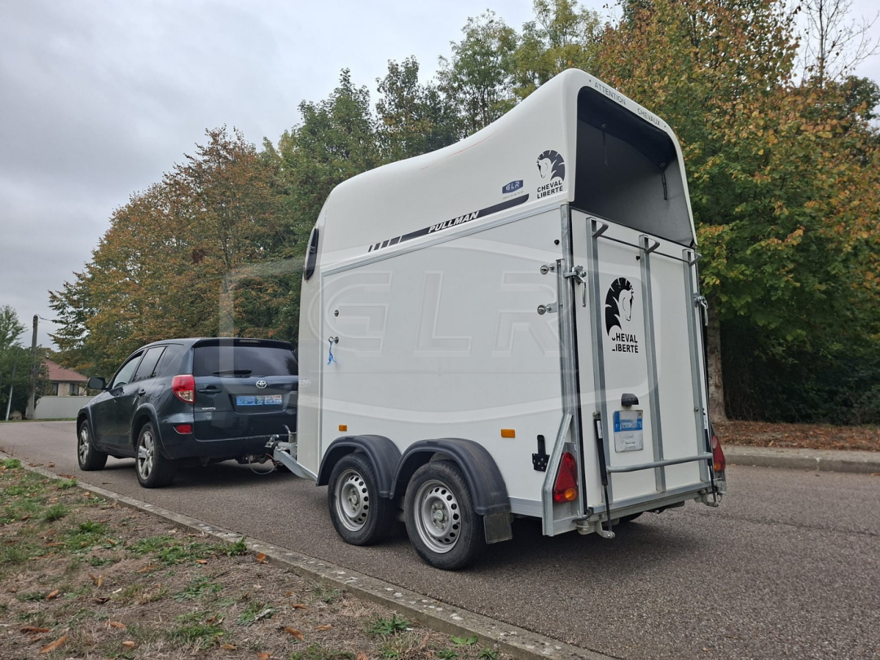Horse trailer Cheval Liberte Gold One White Line 1,5 Stalls 2020 Used
