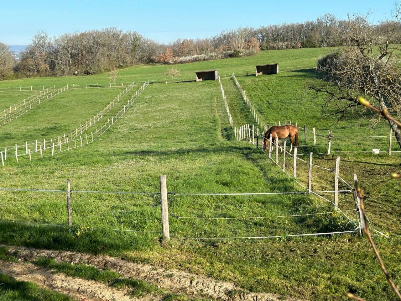Livery yard  Lot-et-Garonne