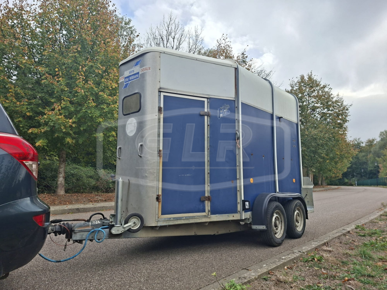 Horse trailer Ifor Williams HB 505 2 Stalls 1998 Used