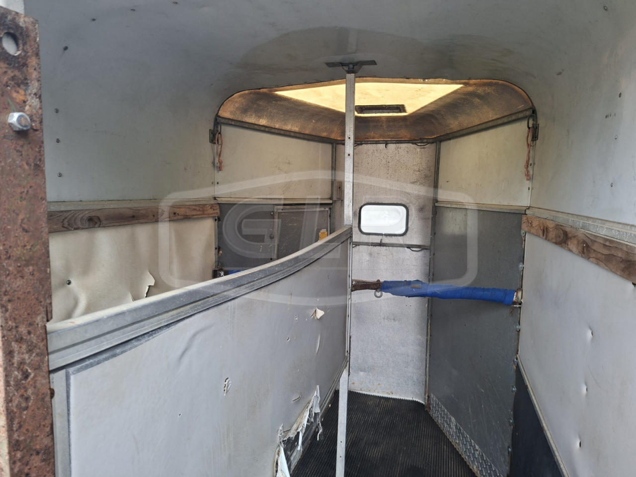Horse trailer Ifor Williams HB 505 2 Stalls 1998 Used