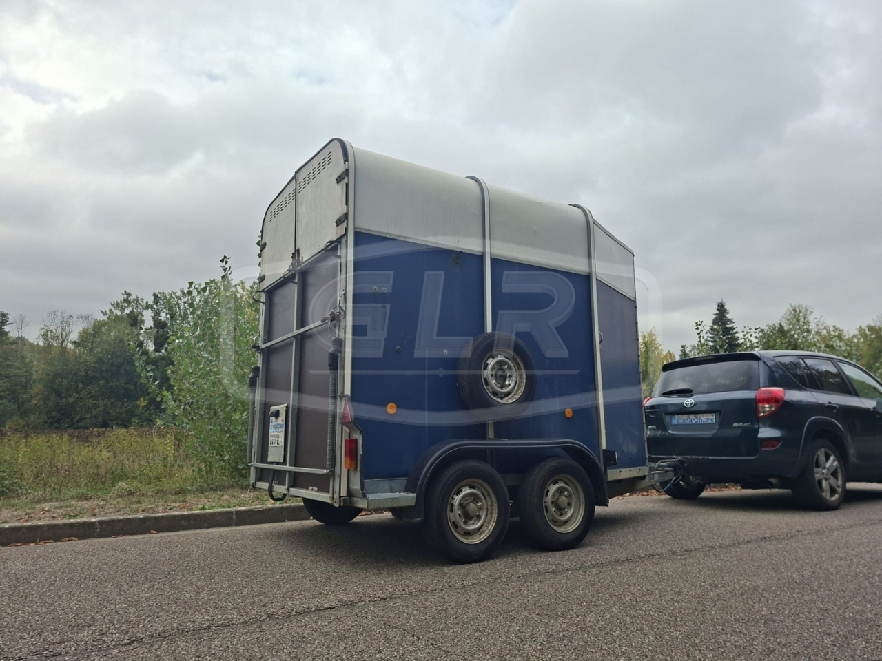 Horse trailer Ifor Williams HB 505 2 Stalls 1998 Used