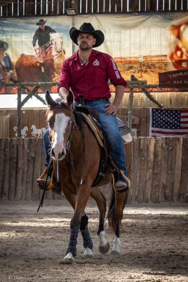 Gelding Quarter For sale 2024 Bay