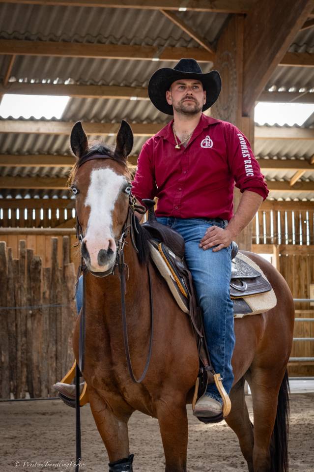 Gelding Quarter For sale 2024 Bay