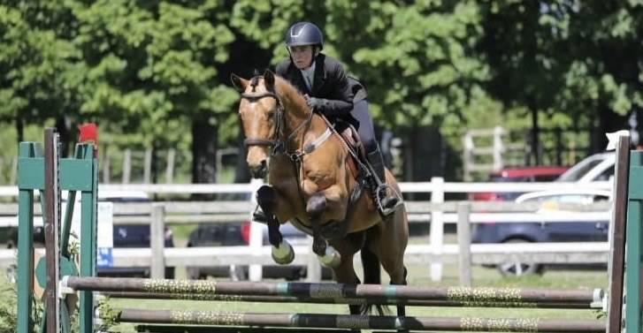 Gelding Origin Recorded For sale 2021 Buckskin