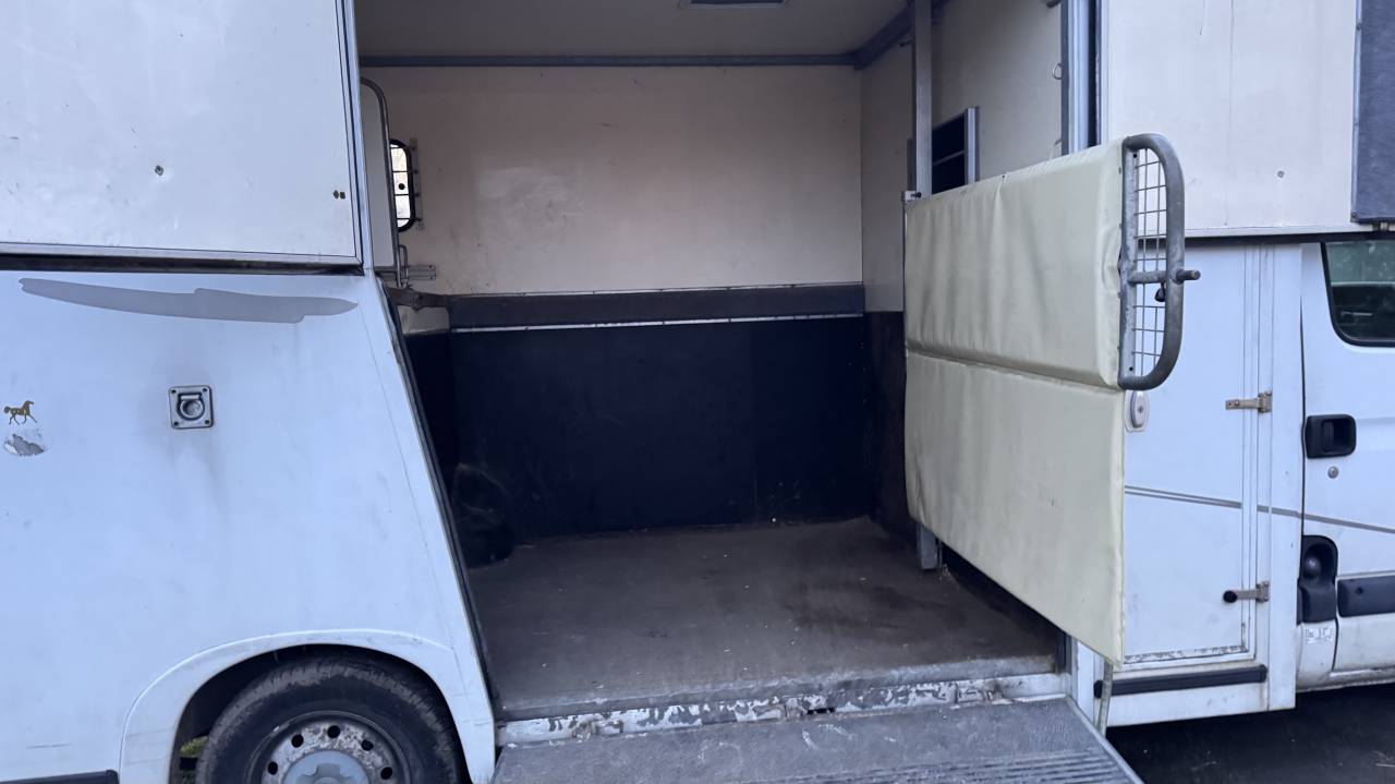Horsebox HGV Renault Master 2005 Used