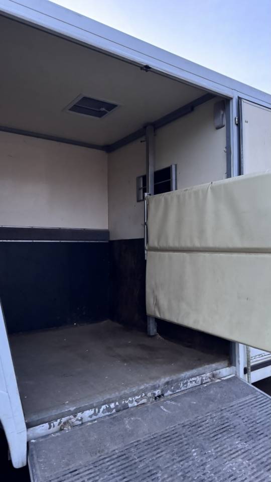 Horsebox HGV Renault Master 2005 Used