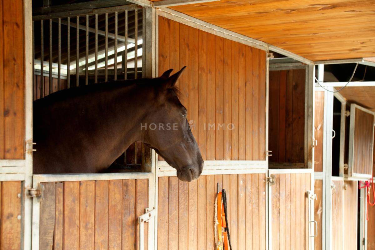 Equestrian property  Bouches-du-Rh&ocirc;ne