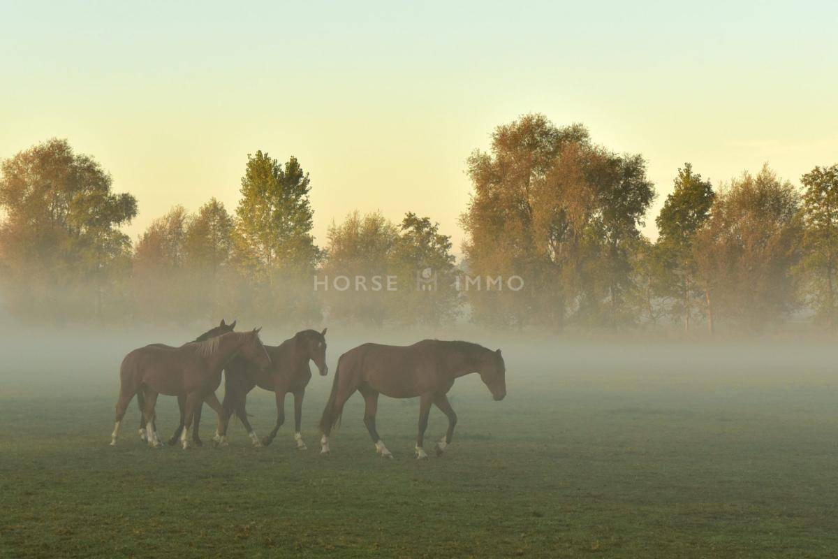 Equestrian property  Bouches-du-Rh&ocirc;ne