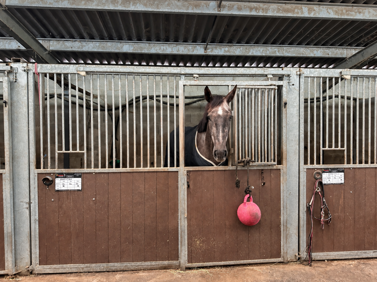 Equestrian property  Loire