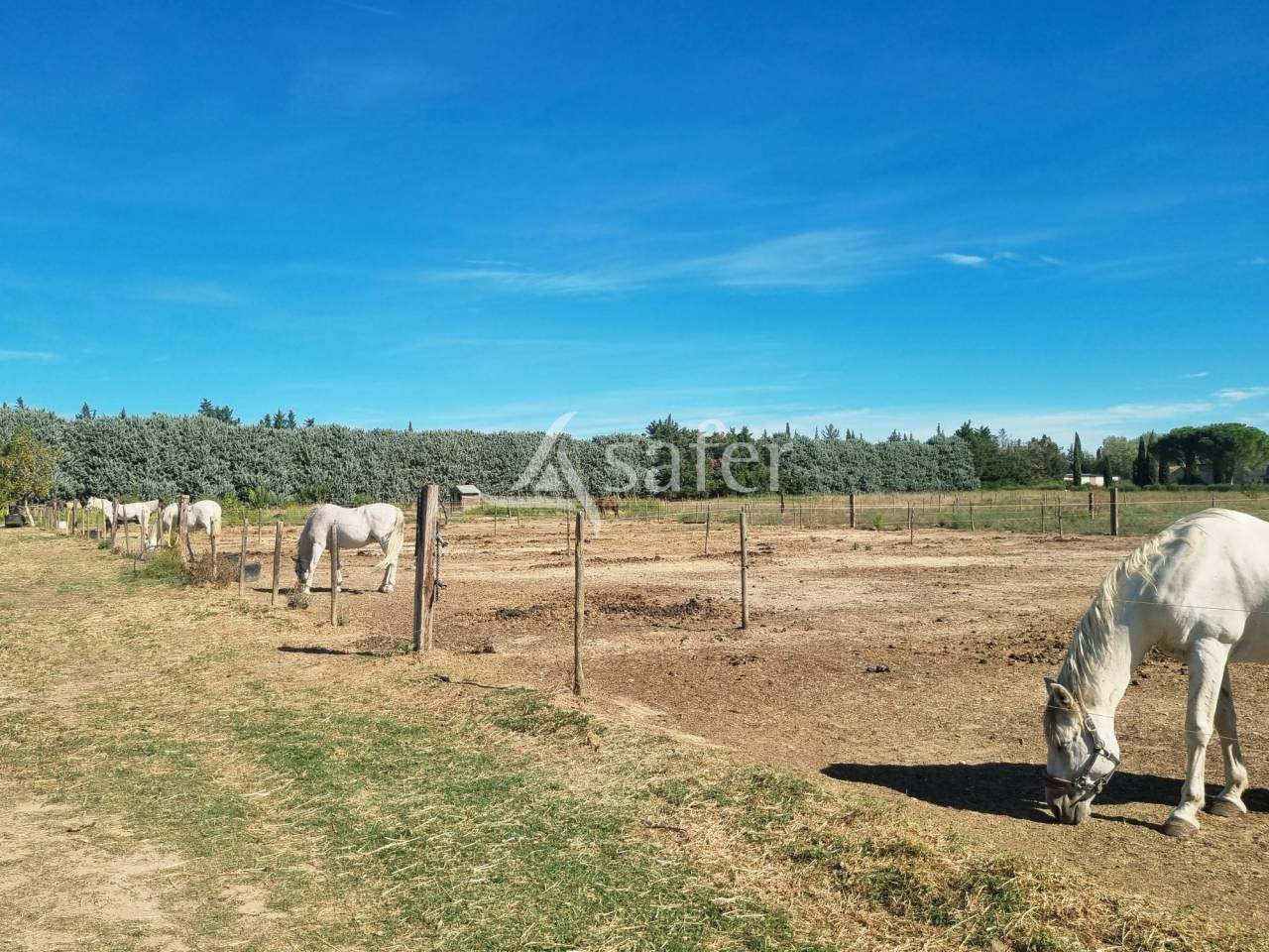 Equestrian property  Gard