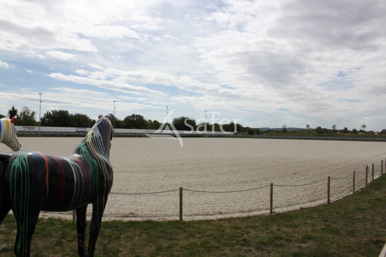 Equestrian property  Marne