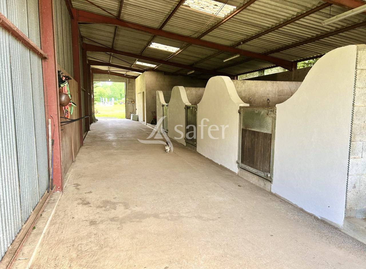 Equestrian property  Vend&eacute;e