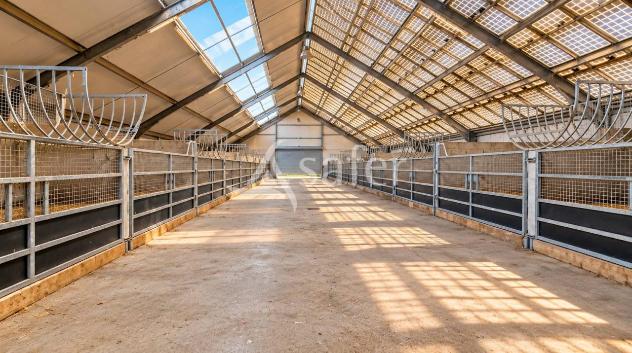 Equestrian property  Orne