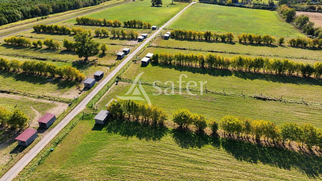 Equestrian property  Orne