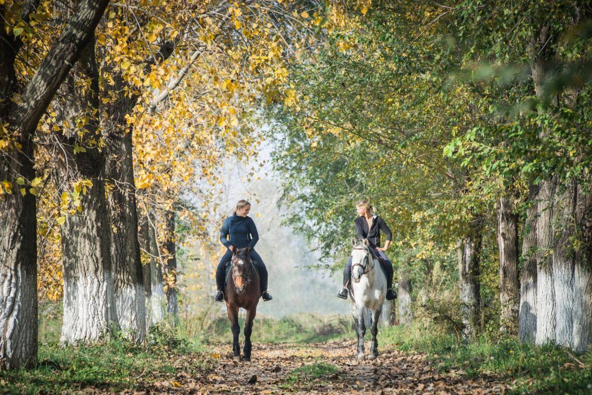 Equestrian property  H&eacute;rault