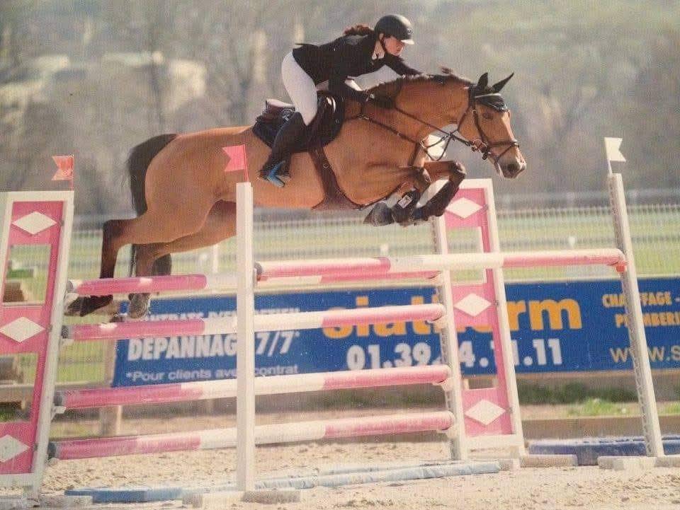 Broodmare Selle Fran&ccedil;ais For sale 2007 Bay
