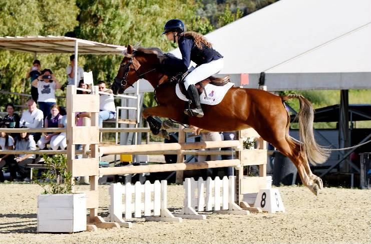 Mare Origin Recorded For sale 2015 Chesnut