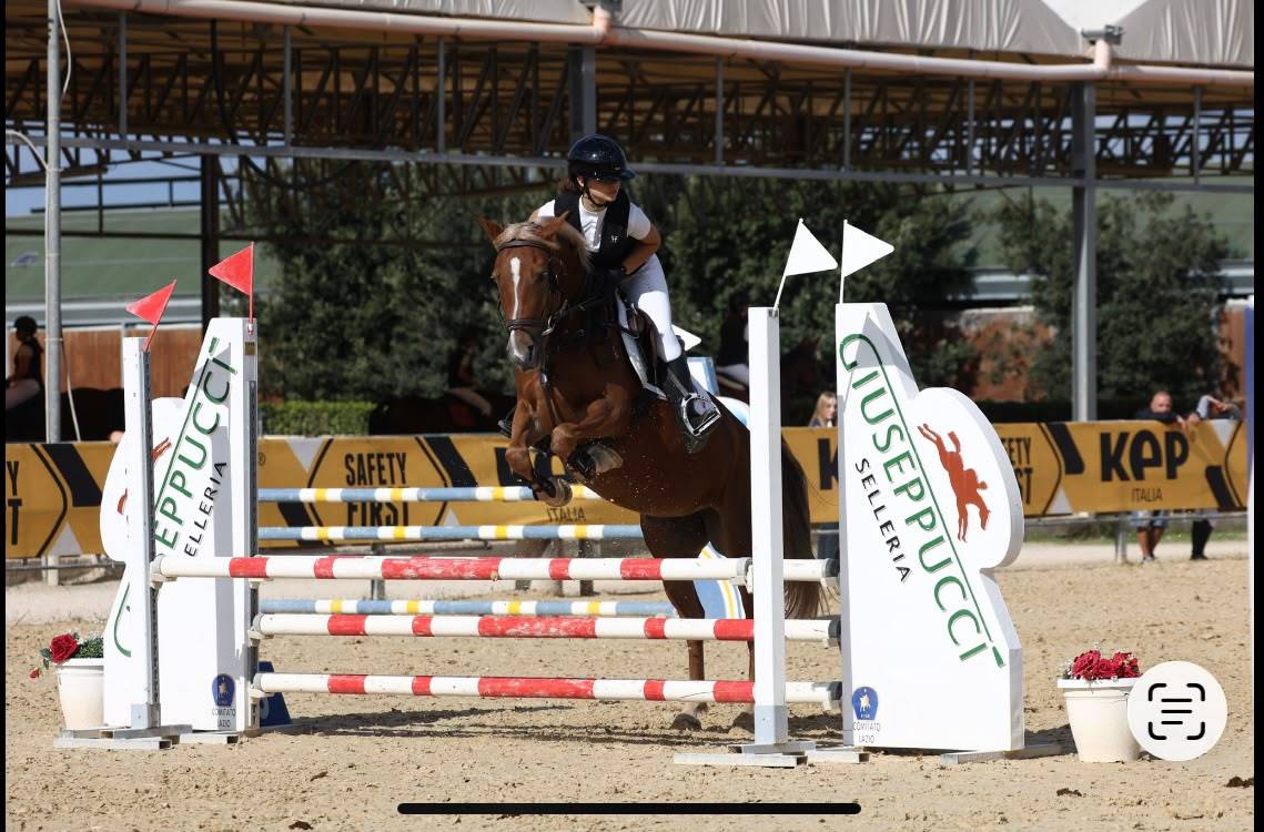 Mare Origin Recorded For sale 2015 Chesnut