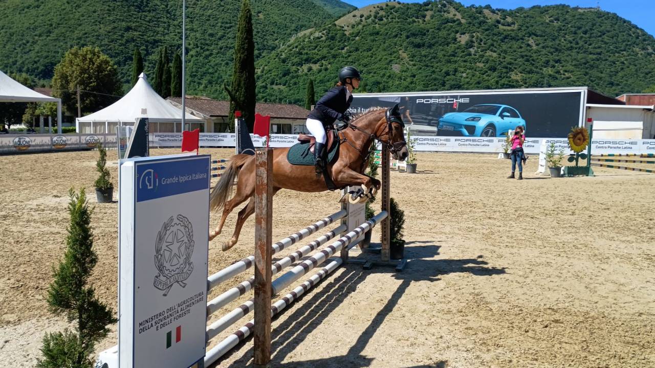 Mare Origin Recorded For sale 2015 Chesnut