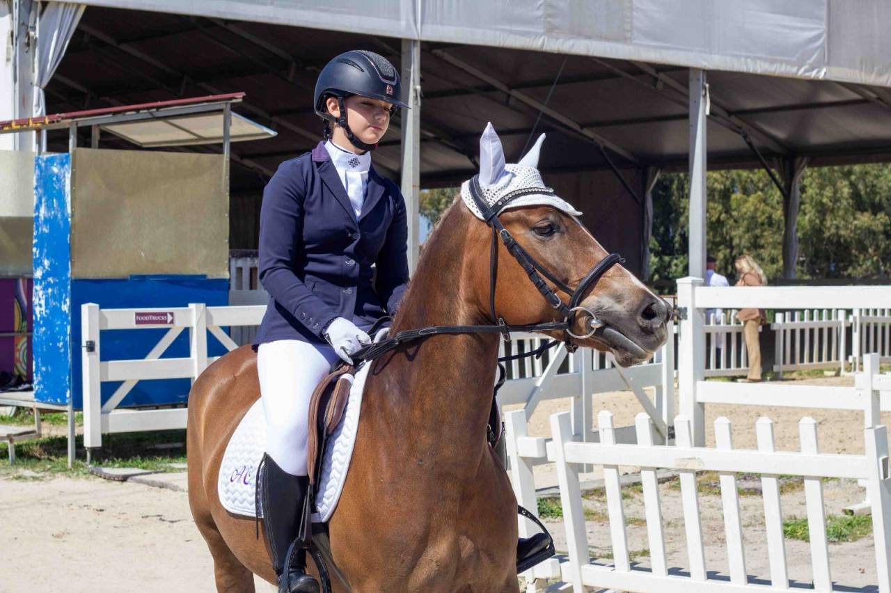 Mare Origin Recorded For sale 2015 Chesnut