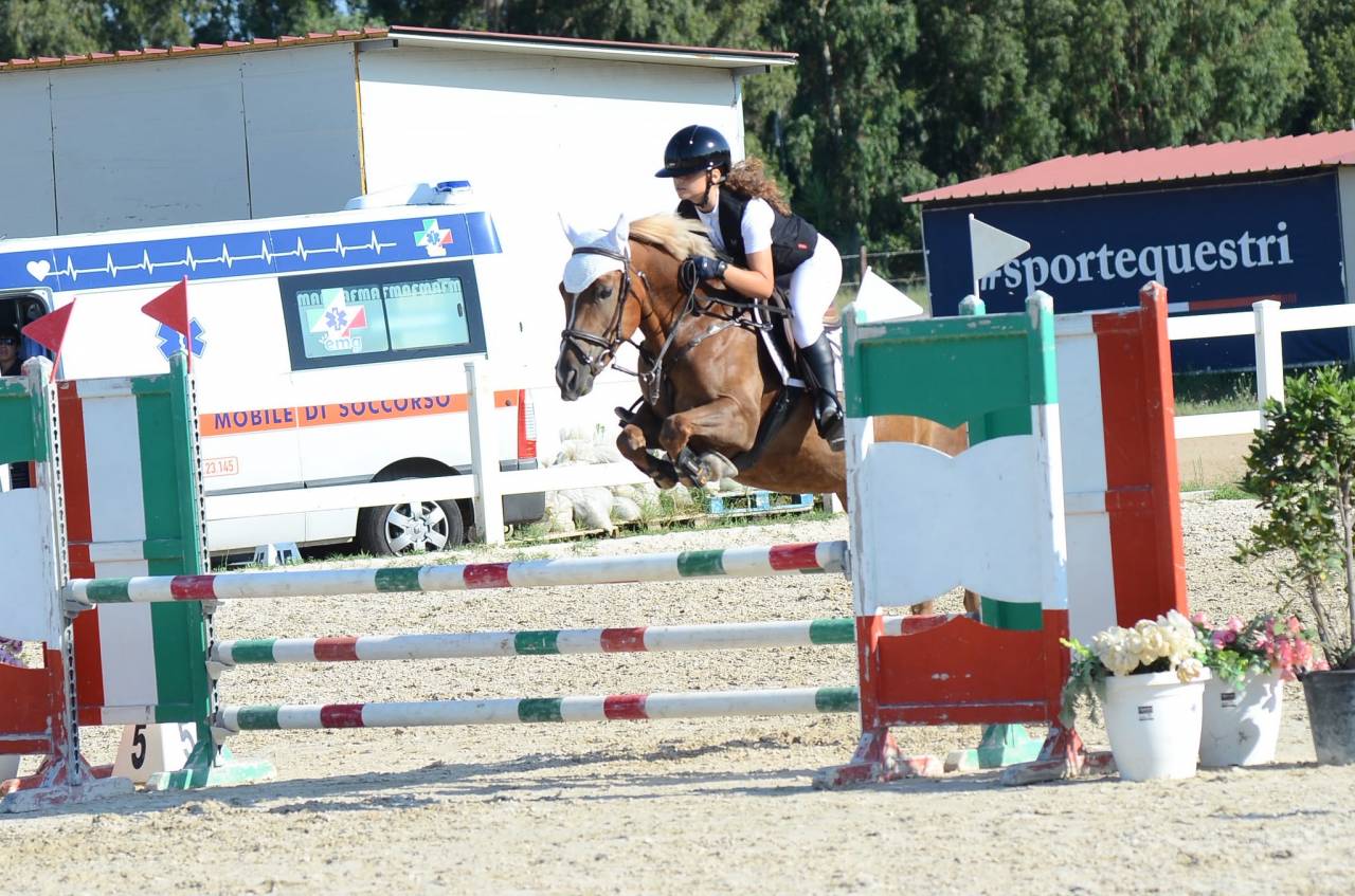 Mare Origin Recorded For sale 2015 Chesnut