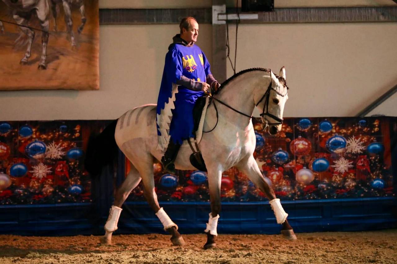 Gelding Lusitano For sale 2017 Buckskin