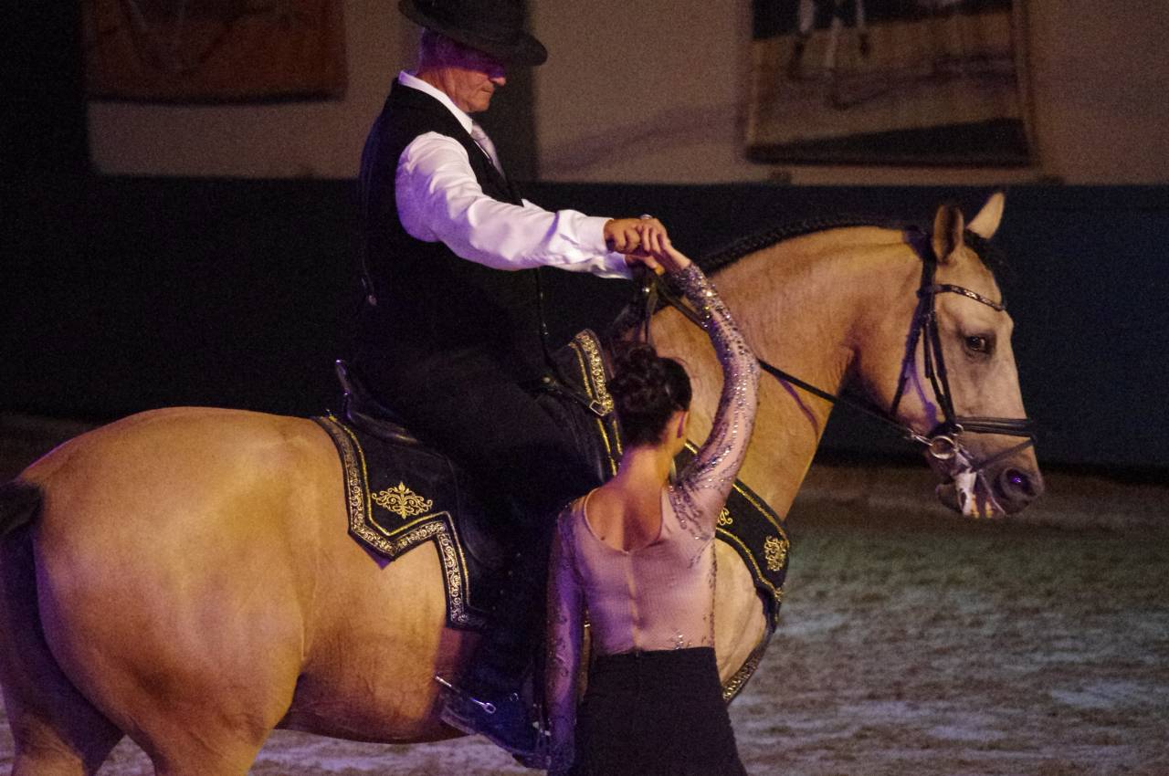 Gelding Lusitano For sale 2017 Buckskin