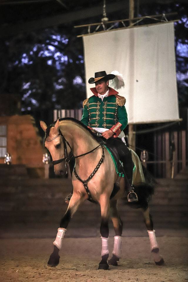 Gelding Lusitano For sale 2017 Buckskin